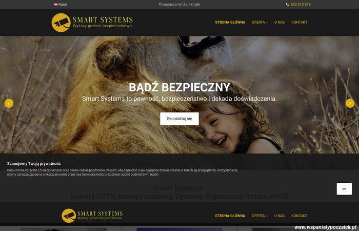 smart-systems