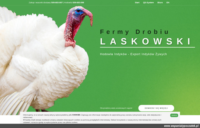 przedsiebiorstwo-produkcyjno-uslugowo-handlowe-fermy-laskowski-sp-z-o-o