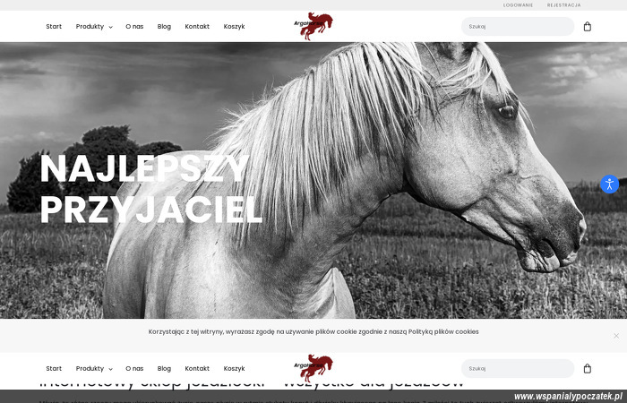 mariusz-rekus-auto-handel-eksport-import-argo-horse
