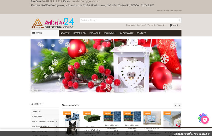 antonina24