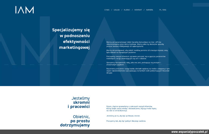 instytut-audytu-mediowego