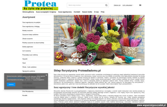 protea-justyna-kosciewicz