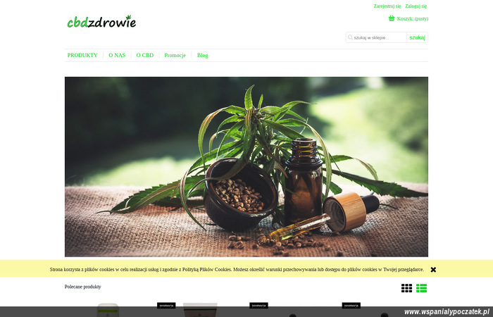 cbdzdrowie-dudix-klussenbedrijf