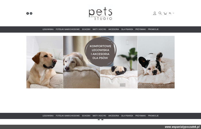 pets-studio