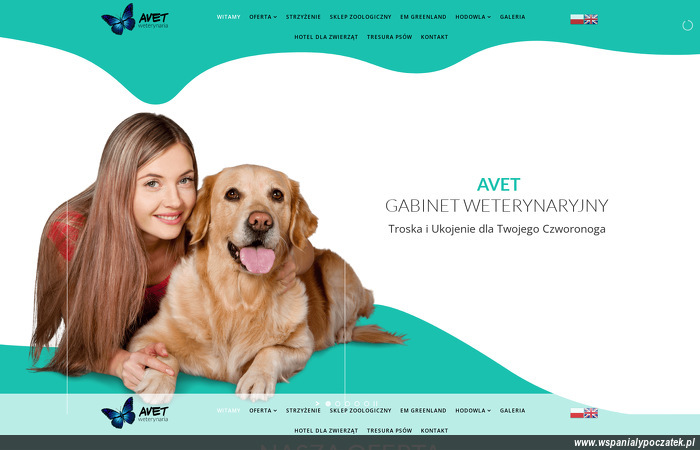 gabinet-weterynaryjny-avet